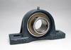 Bearings UCP201-8 1/2" Pillow Block Mounted Bearings Balls